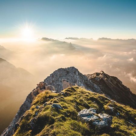 Alpine Suite Seefeld 蒂罗尔-泽费尔德 外观 照片